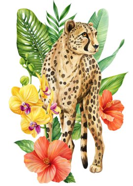Tropikal çiçekli ve yapraklı suluboya Afrika vahşi hayvanları, safari vahşi yaşam klibiyle, zebra fil aslan çitası. Yüksek kaliteli illüstrasyon