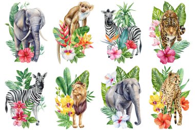 Tropikal çiçekli ve yapraklı suluboya Afrika vahşi hayvanları, safari vahşi yaşam klibiyle, zebra fil aslan çitası. Yüksek kaliteli illüstrasyon