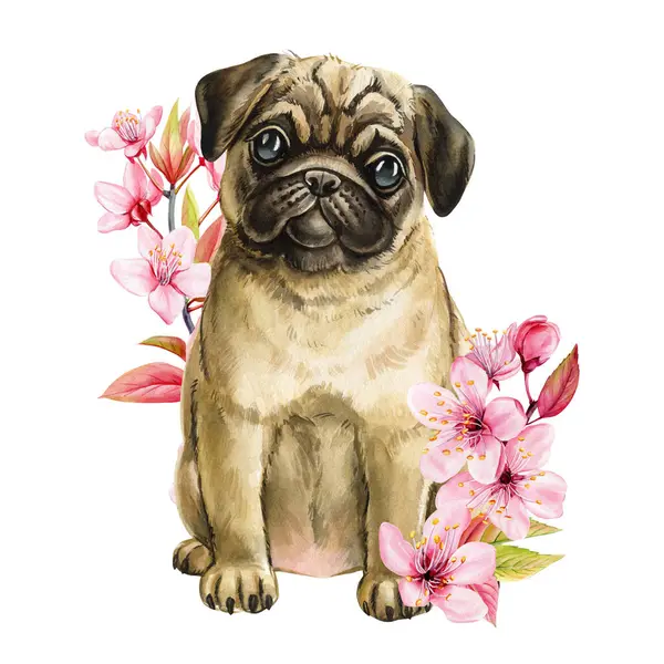 Şirin Suluboya Pug Pembe Kiraz Çiçekleri ile Oturan Köpek Yavrusu Çocuk Dekorasyonu için Sevimli Köpek Clipart, Tebrik Kartları, Parmak İzleri. Yüksek kaliteli illüstrasyon