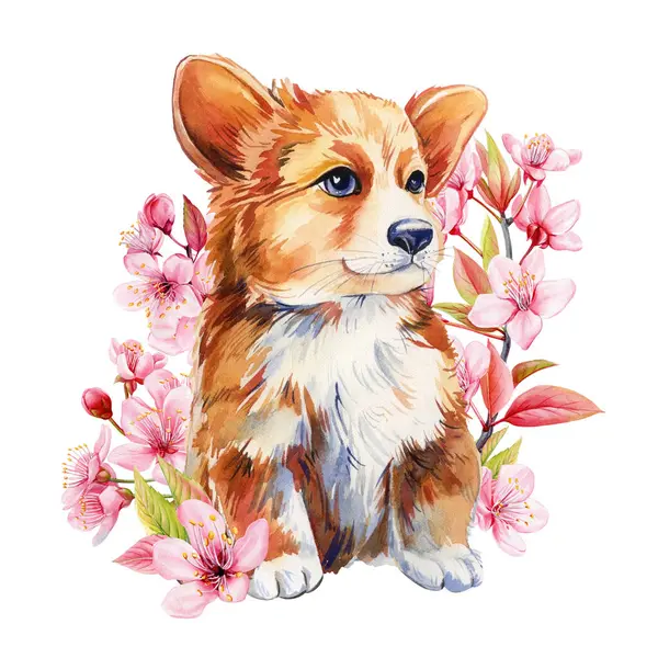 Şirin Corgi köpek kirazı çiçekleri suluboya resimleme, çocuklar için çiçekli hayvan resimleri, çocuk odası, bahar baskısı, evcil hayvan tasarımı. Yüksek kaliteli illüstrasyon