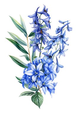 Zarif buket mavi kır çiçekleri ve yeşil yapraklar. Suluboya botanik çiçek çizimleri beyaz kartpostalda izole edilmiş. Yüksek kaliteli illüstrasyon