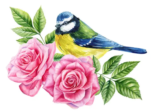 Blue tit bird with blooming roses green leaves. Spring watercolor composition for greeting cards and floral decoration. High quality illustration