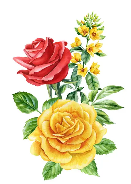  Yeşil yapraklı suluboya sarı kır çiçeği koleksiyonu. Beyaz arka planda elle boyanmış çiçek desenli elementler. Yüksek kaliteli illüstrasyon