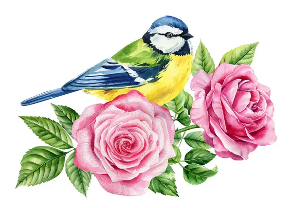 Watercolor blue tit bird with pink roses and green leaves. Hand painted floral composition for spring or summer design. High quality illustration