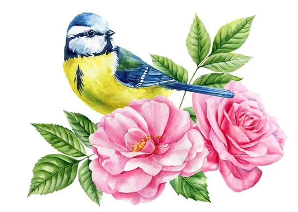 Beautiful blue tit bird sitting on pink rose flowers. Watercolor floral bouquet with green leaves isolated on white background. High quality illustration