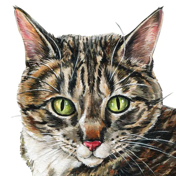 Beyaz arka planda izole edilmiş yeşil gözlü gerçekçi tekir kedi yüzlü akrilik evcil hayvan portresi ayrıntılı kedi resmi. Yüksek kaliteli illüstrasyon