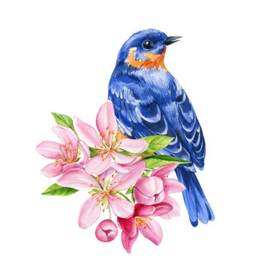 Bahar Kuşları ve Çiçekleri. Pembe elma çiçekli mavi kuş. Suluboya çiçek desenli, elle boyanmış doğa posteri. Yüksek kaliteli illüstrasyon
