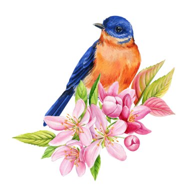 Pembe kiraz çiçekleriyle mavi kuş. Kuşlu suluboya bahar çiçekleri. Elle boyanmış doğa afişi. Yüksek kaliteli illüstrasyon