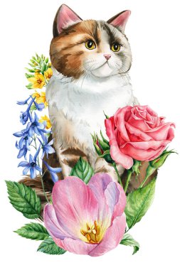 Pembe gül, bahar lalesi ve mavi Delphinium çiçekli suluboya tüylü kedi, botanik demeti çizimi. Yüksek kaliteli illüstrasyon