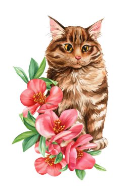 Büyük sarı gözlü suluboya kahverengi tekir kedi ve pembe kamelya çiçekleri, çiçek buketi, botanik bahar çizimi. Yüksek kaliteli illüstrasyon