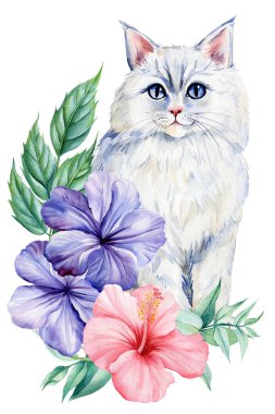 Suluboya beyaz uzun saçlı mavi gözlü kedi, amber çiçeği ve mallow çiçekleri, botanik çiçek buketi, ilkbahar hayvan resimleri. Yüksek kaliteli illüstrasyon