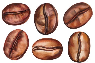 Suluboya kahve çekirdekleri seti, el yapımı kavrulmuş Arabica espresso kahverengi tohumları, gurme içeceği çizimi, izole edilmiş klitoris. Yüksek kaliteli illüstrasyon