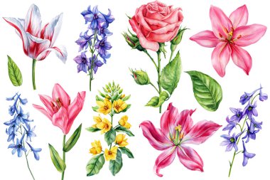 Gül Zambakları Laleleri Lale Delphinium Yaban Çiçekleri Düğün Kutlama Tasarımı için Botanik Bahar Çiçekleri. Yüksek kaliteli illüstrasyon