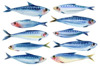 Suluboya Sardalya İklimi Mavi Okyanus Balık Taze Deniz Ürünleri Paketleme Tarifi Tasarımı Kıyı Mutfağı ve Denizcilik Dekorasyonu ile kurulmuştur. Yüksek kaliteli illüstrasyon