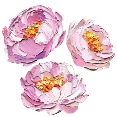 Üç pembe şakayık, yumuşak yapraklı yağlı boya resim romantik duvar resimleri ve tırnak izleri için sarı merkezli. Yüksek kaliteli illüstrasyon