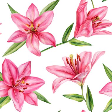 Pembe Zambaklar ve Beyaz Arkaplanda Yeşil Yapraklar 'ın kusursuz suluboya deseni. Yüksek kaliteli illüstrasyon