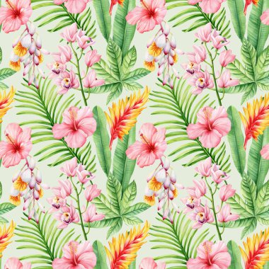 Pembe amberçiçeği orkideleri, zencefilli palmiye yaprakları ve dizayn için klasik egzotik arka planı olan tropikal çiçeksiz desen. Yüksek kaliteli illüstrasyon