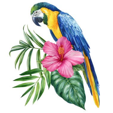 Sarı mavi papağan, pembe amber çiçeği ve yeşil tropikal yapraklı egzotik kuş sanatı. Yüksek kaliteli illüstrasyon