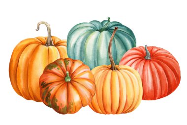 Turuncu deniz mavisi ve mercan suluboya renginde kırsal sonbahar balkabakları şükran günü ve mevsimlik dekorasyon, poster, baskı sanatı için. Yüksek kaliteli illüstrasyon