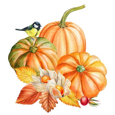 Pumpkins with tit bird physalis and autumn foliage watercolor clipart for seasonal cards Thanksgiving decor and harvest projects. High quality illustration