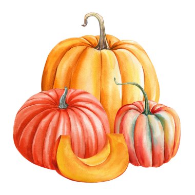 Renkli balkabakları, dilimlenmiş turuncu kırmızı ve çizgili sukabakları olan suluboya sonbahar sebze klipleri çiftlik ve hasat tasarımları için. Yüksek kaliteli illüstrasyon