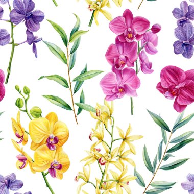 Pembe sarı ve mor falaenopsis çiçekleri ve yeşil yapraklı orkide desensiz yaz pantolonu suluboya botanik sanatı. Yüksek kaliteli illüstrasyon