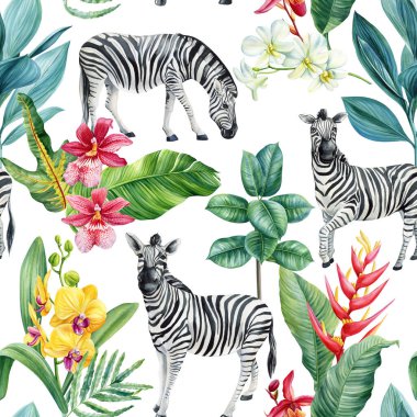 Vahşi Hayvanlar, suluboya tropikal desenli zebralar egzotik orkideler muz yaprakları ve beyaz arka planda orman bitkileri. Yüksek kaliteli illüstrasyon