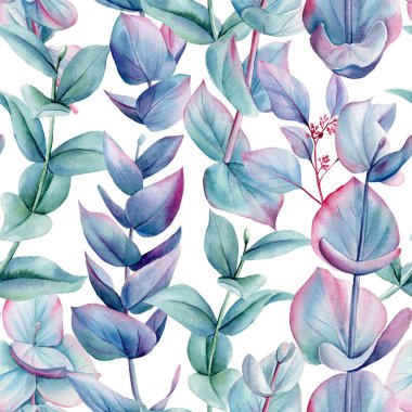 Okaliptüs rengi, mavi yeşil ve mor dalları ve beyaz arka planda yaprakları olan dikişsiz bir okaliptüs deseni. Yüksek kaliteli illüstrasyon