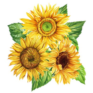  Yeşil yapraklı suluboya deseni, kartlar, posterler, çiçek desenleri için yaz kompozisyonu. Yüksek kaliteli illüstrasyon