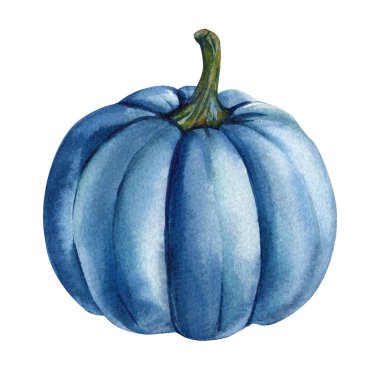 Yeşil saplı mavi balkabağı suluboya sonbahar hasat illüstrasyonu botanik doğal hasat. Yüksek kaliteli illüstrasyon