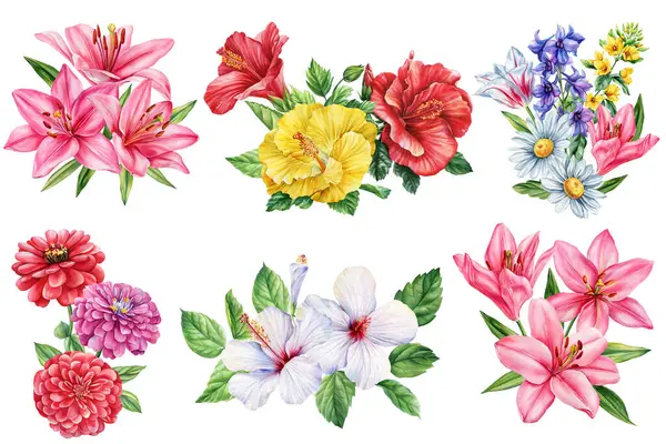 Zambaklı suluboya çiçekli papatya çiçekleri ve yaz düğünü tasarımı ve dekoru için kır çiçekleri botanik klipsi. Yüksek kaliteli illüstrasyon