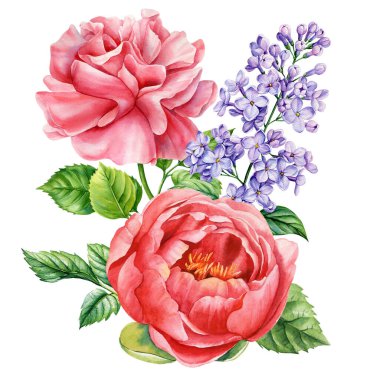 Pembe gül ve leylak çiçekli kırmızı şakayık yeşil yapraklı bitki desenli suluboya çiçek deseni. Yüksek kaliteli illüstrasyon