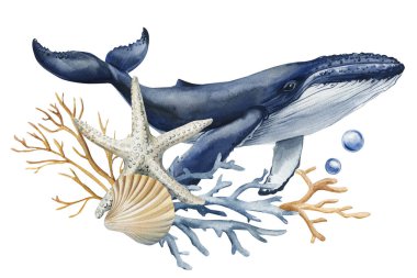 Deniz yıldızı mercan deniz kabukları ve baloncuklu kambur balina. Okyanus boyası. Kliptik çizimler. Yüksek kaliteli illüstrasyon