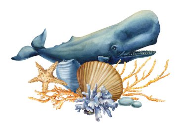 Mercan denizyıldızı ve deniz kabuklu sperm balinası okyanus projeleri için suluboya deniz resimleri. Yüksek kaliteli illüstrasyon