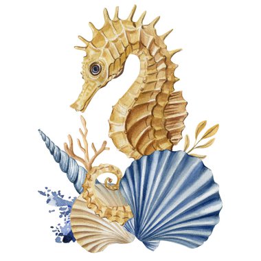 Deniz kabuklu deniz atı, mercan mavisi, suluboya deniz resmi, vahşi yaşam posteri, zarif bir yaz kartpostalı. Yüksek kaliteli illüstrasyon