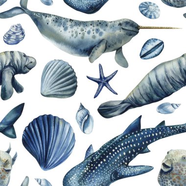 Denizgergedanı denizayısı köpekbalığı mavi deniz kabukları ve kutup okyanus temalı deniz hayvanlarıyla kusursuz suluboya deseni. Yüksek kaliteli illüstrasyon