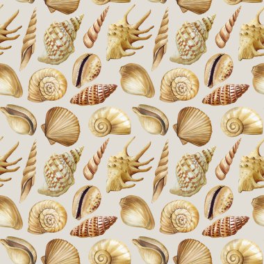 Bej kahverengi deniz kabukları, tropikal sarmal kabuklar ve doğal plaj tonlarında okyanus kabuğu ile kusursuz suluboya deseni. Yüksek kaliteli illüstrasyon