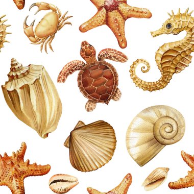 Deniz kaplumbağası yengeci deniz atı ve sıcak bej kahverengi tonlarda okyanus kabukları ile kusursuz suluboya deseni. Yüksek kaliteli illüstrasyon