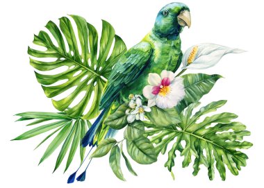 Palmiye palmiyeli papağan ve barış dolu tropikal çiçekler izole edilmiş beyaz arka planda botanik suluboya yapraklar. Yüksek kaliteli illüstrasyon