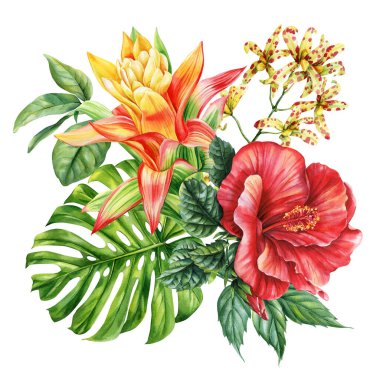 Kırmızı amberçiçeği, turuncu bromeliad ve benekli tropikal çiçek buketi ve suluboya yapraklı, afiş, kart. Yüksek kaliteli illüstrasyon