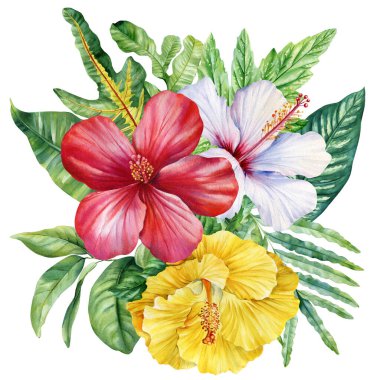 Tropik amber çiçekleri kırmızı beyaz ve sarı, yaz aylarında yapılan botanik suluboya kompozisyonunda yeşil palmiye yaprakları. Yüksek kaliteli illüstrasyon