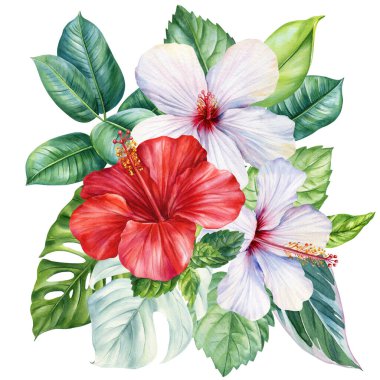 suluboya palmiye yapraklı kırmızı ve beyaz amber çiçekleri botanik kompozisyonu tropik plaj yaz tasarımı, cennet doğası. Yüksek kaliteli illüstrasyon