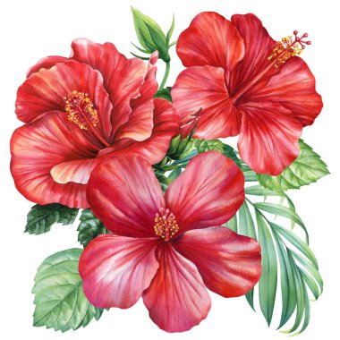 Canlı yaz suluboya botanik orman posterinde yeşil yapraklı tropik kırmızı amber çiçeği buketi, yaz plaj tasarımı. Yüksek kaliteli illüstrasyon