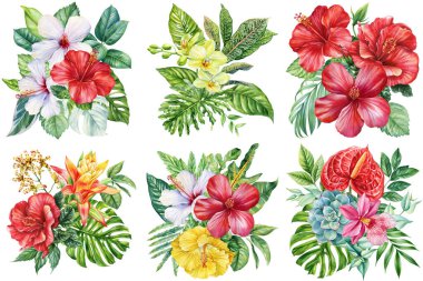 Tropik çiçek seti, orkide orkidesi ve suluboya botanik yaz koleksiyonunda egzotik yapraklar. Yüksek kaliteli illüstrasyon