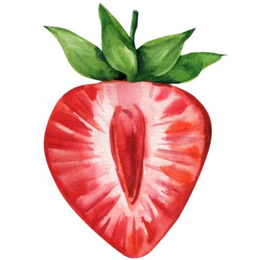 Yaz meyvesi tasarımı için yeşil yapraklı kırmızı böğürtlen dilimi. Yüksek kaliteli illüstrasyon