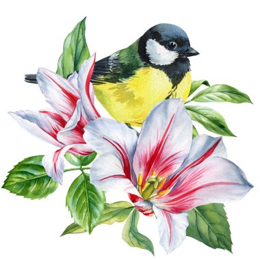Great tit bird with white and red lilies and green leaves watercolor exotic floral botanical artwork. High quality illustration