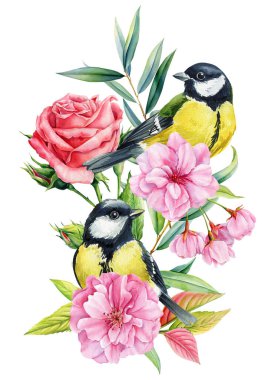 Two great tit birds with pink roses cherry blossoms and camellia flowers watercolor floral illustration. High quality illustration