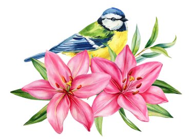 Blue tit bird with pink lilies and green leaves watercolor exotic floral botanical illustration. High quality illustration