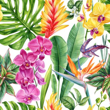 Tropikal orkide kuşu ve renkli egzotik yapraklar suluboya dikişsiz bitki deseni. Aloha tasarımı. Yüksek kaliteli illüstrasyon