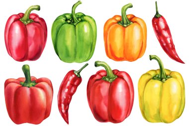 Watercolor peppers set red green yellow orange bell peppers with chili illustration organic fresh vegetables food art isolated. High quality illustration
